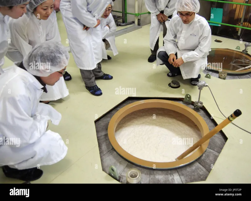 The Smoothness Paradox: Understanding Why Sake at 16% ABV Feels Nothing Like Wine at 16% ABV